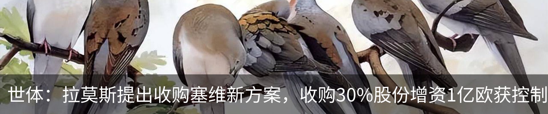 资讯动态