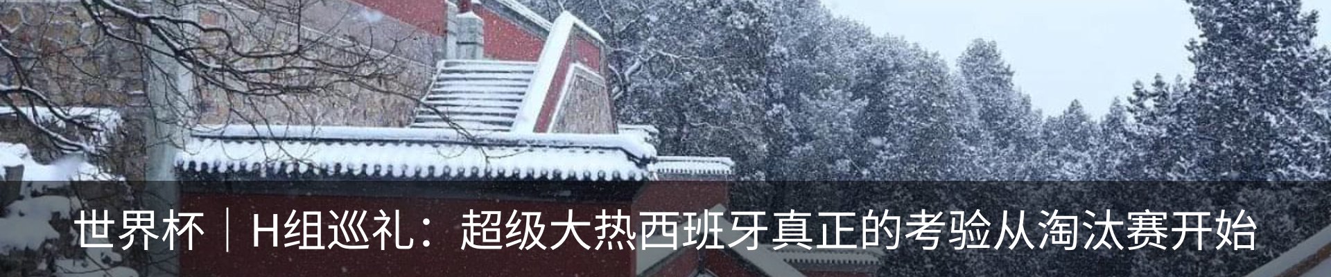 资讯动态