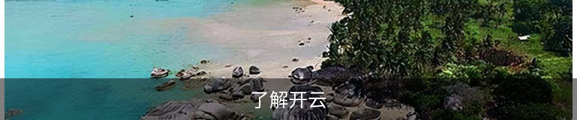 了解开云