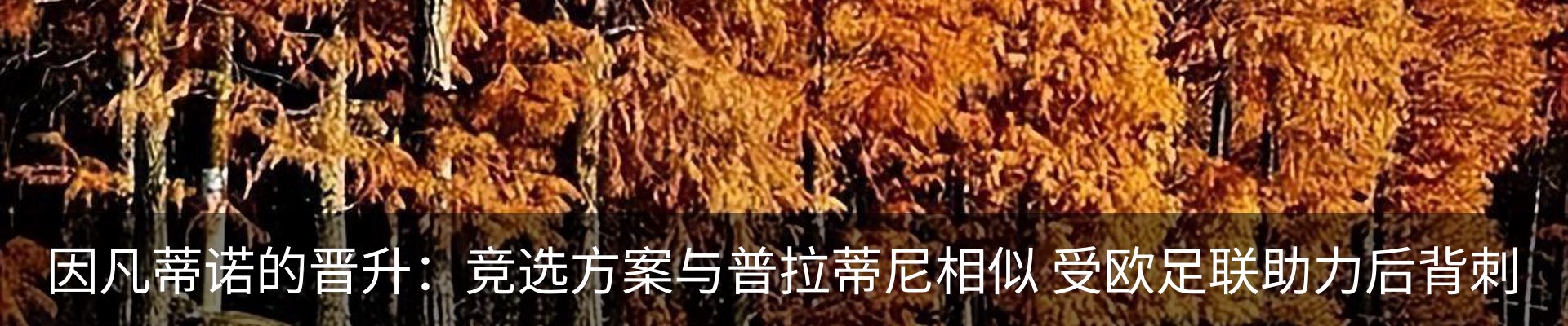资讯动态