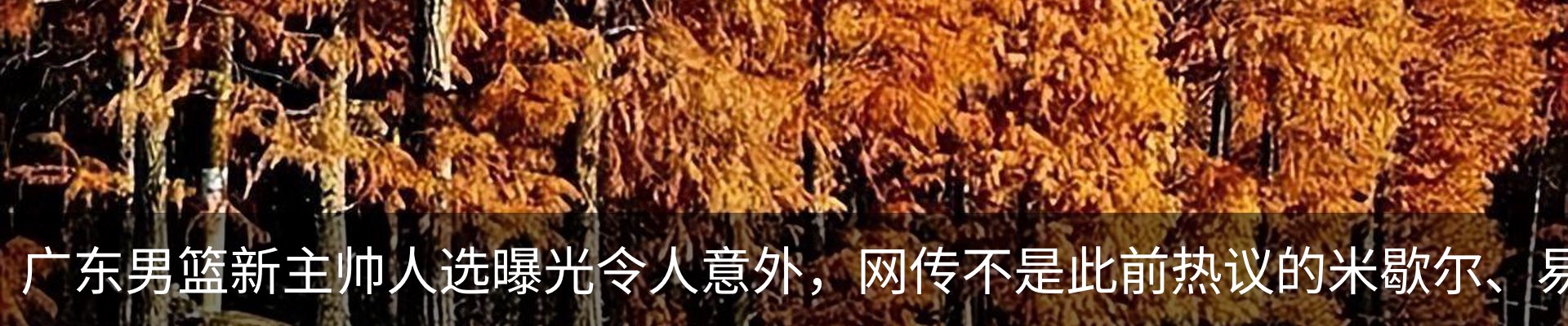 资讯动态