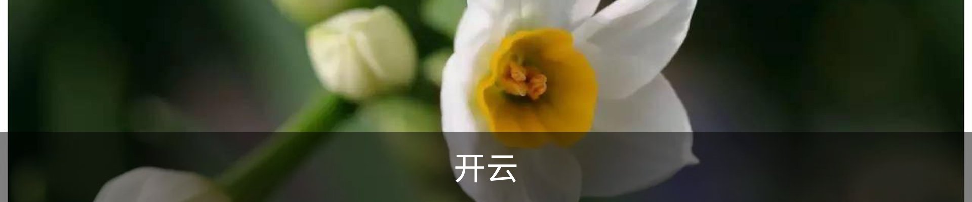 开云