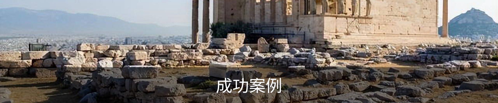 成功案例