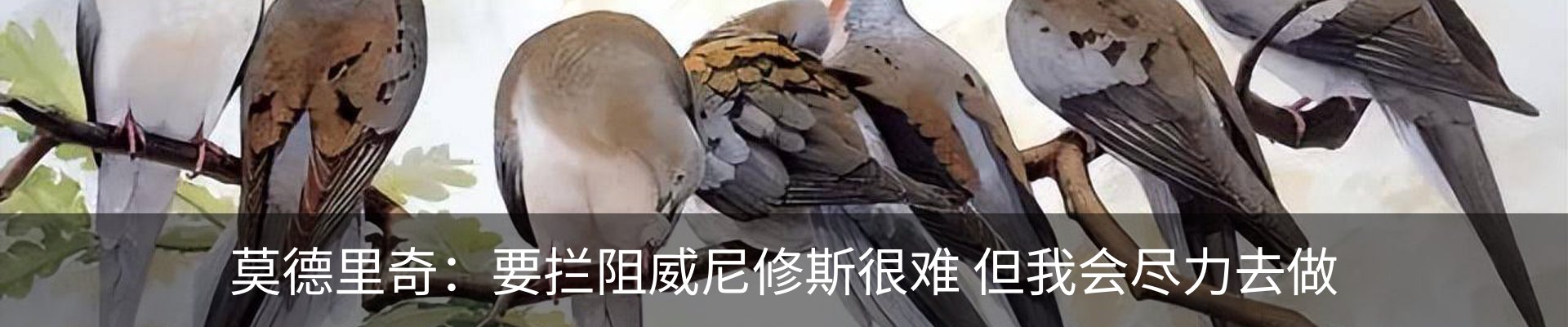 资讯动态